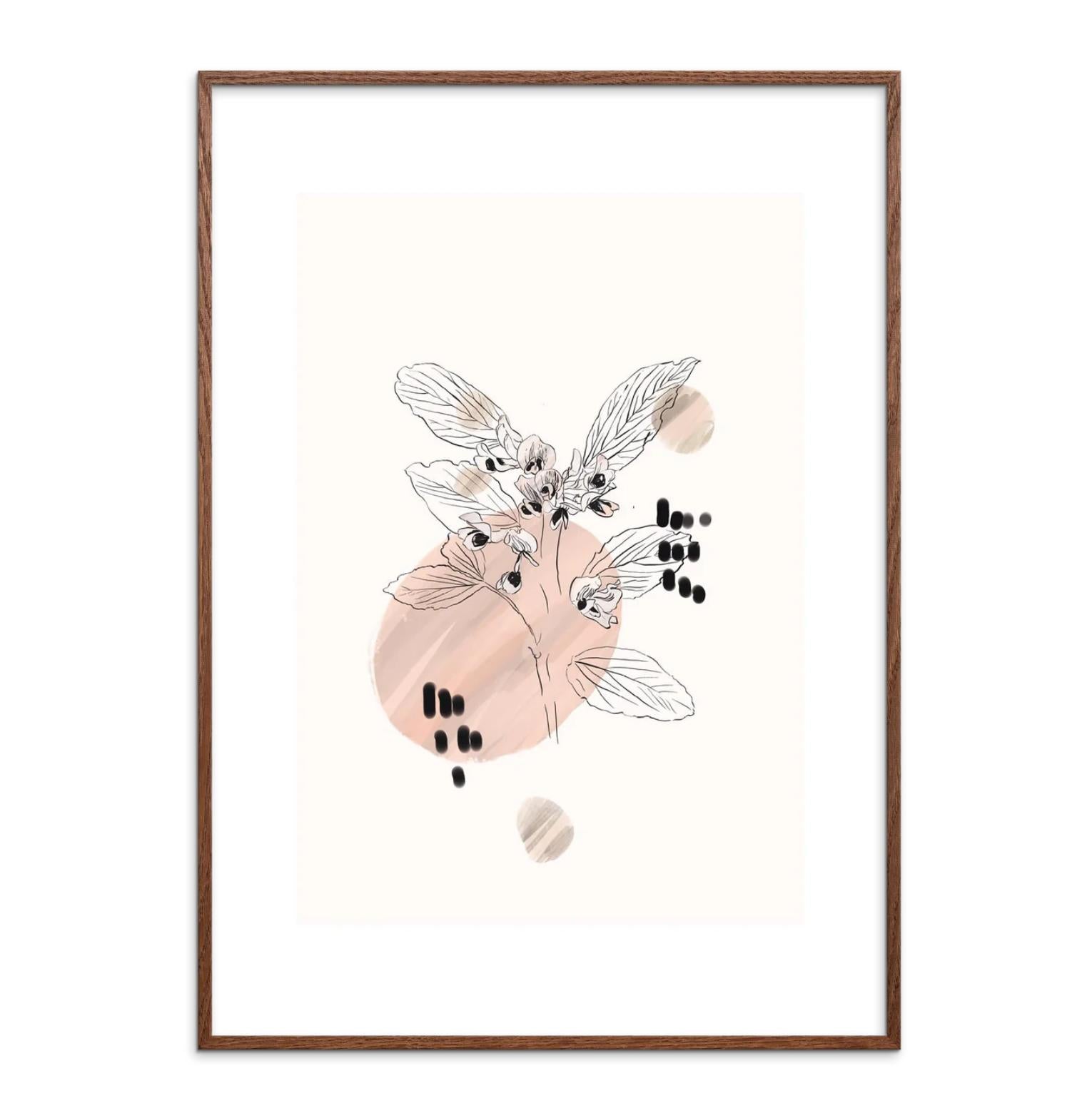 DIMM: Veggspjald · Sara Rossi · Botanica Fave