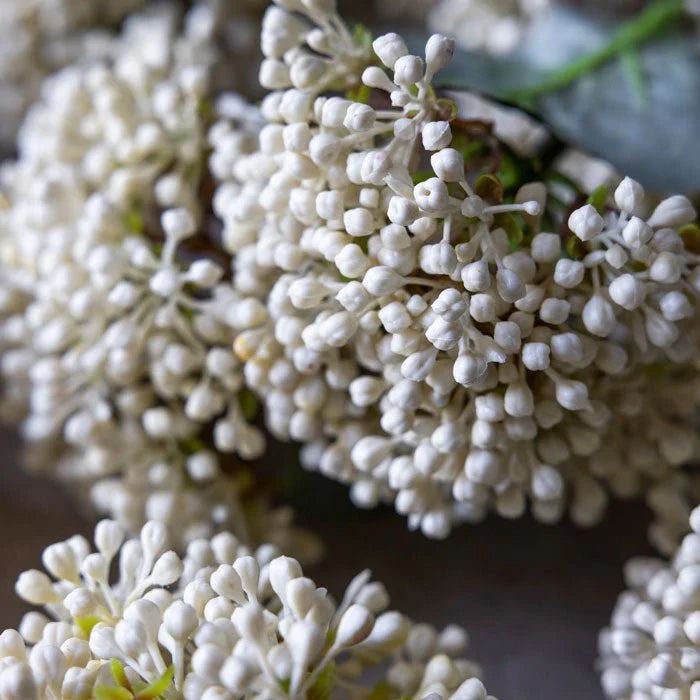 DIMM: Abigail Ahern gerviblóm · Viburnum Buds Stem