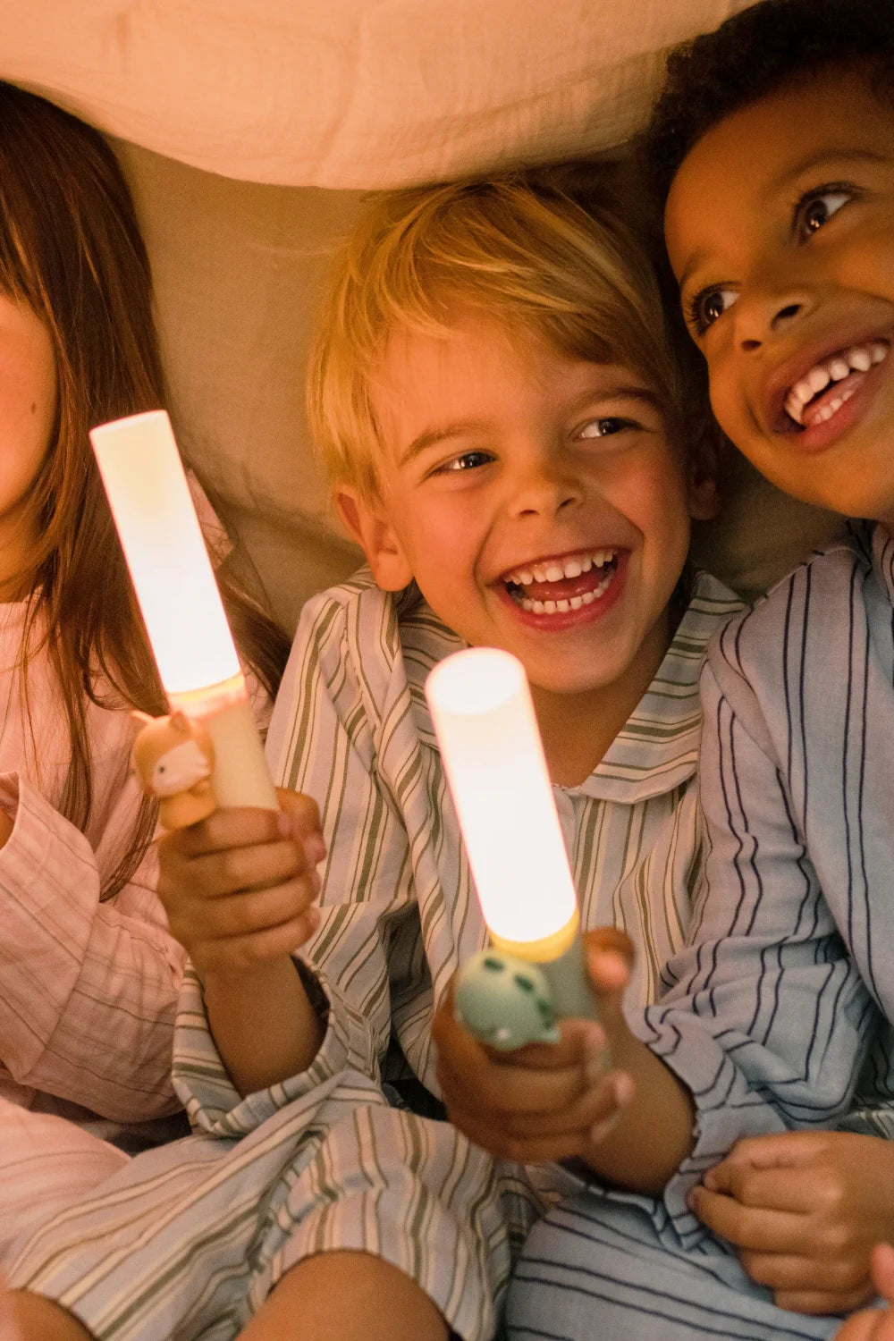 DIMM: Næturljós · Zoo light · Fox