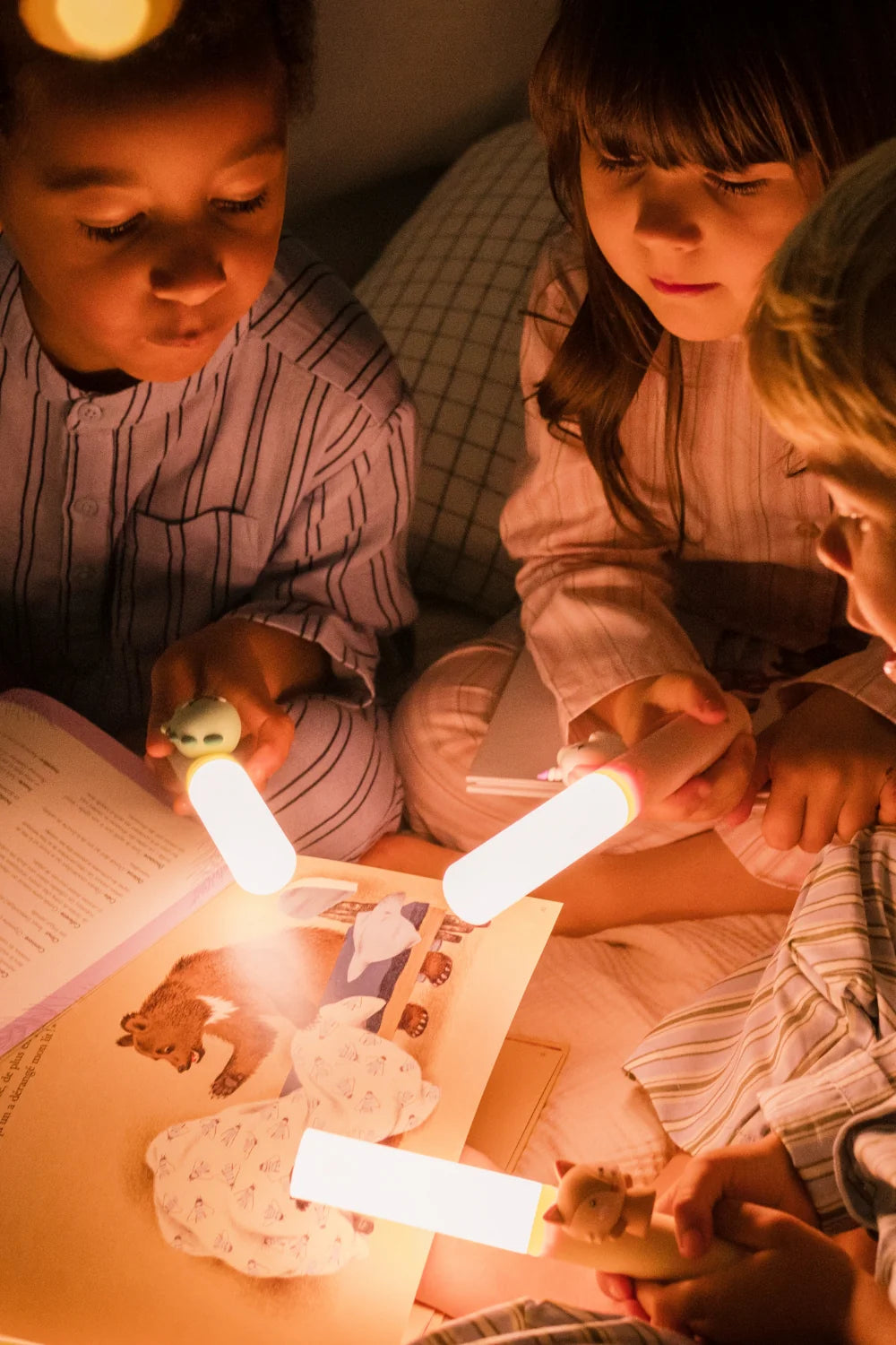 DIMM: Næturljós · Zoo light · Fox