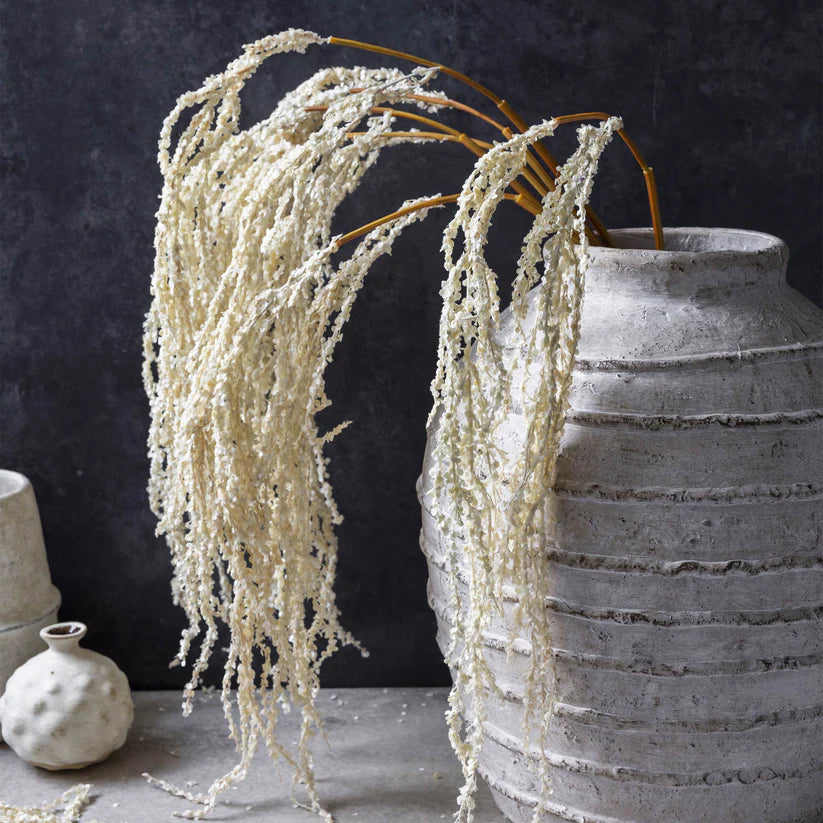 DIMM: Gerviblóm · Amaranthus Cream