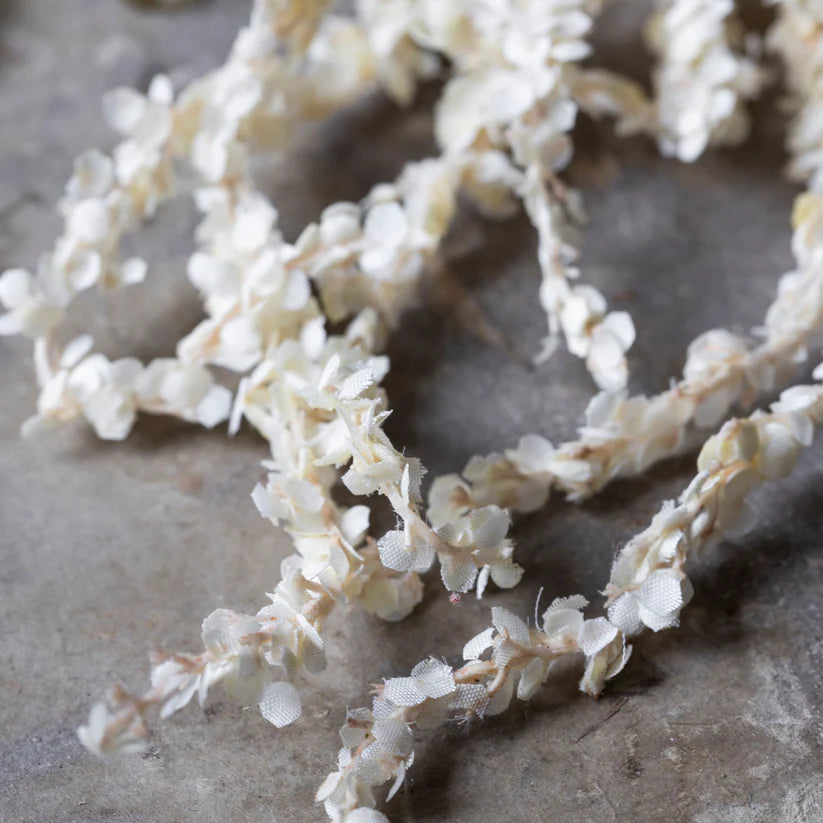 DIMM: Gerviblóm · Amaranthus Cream