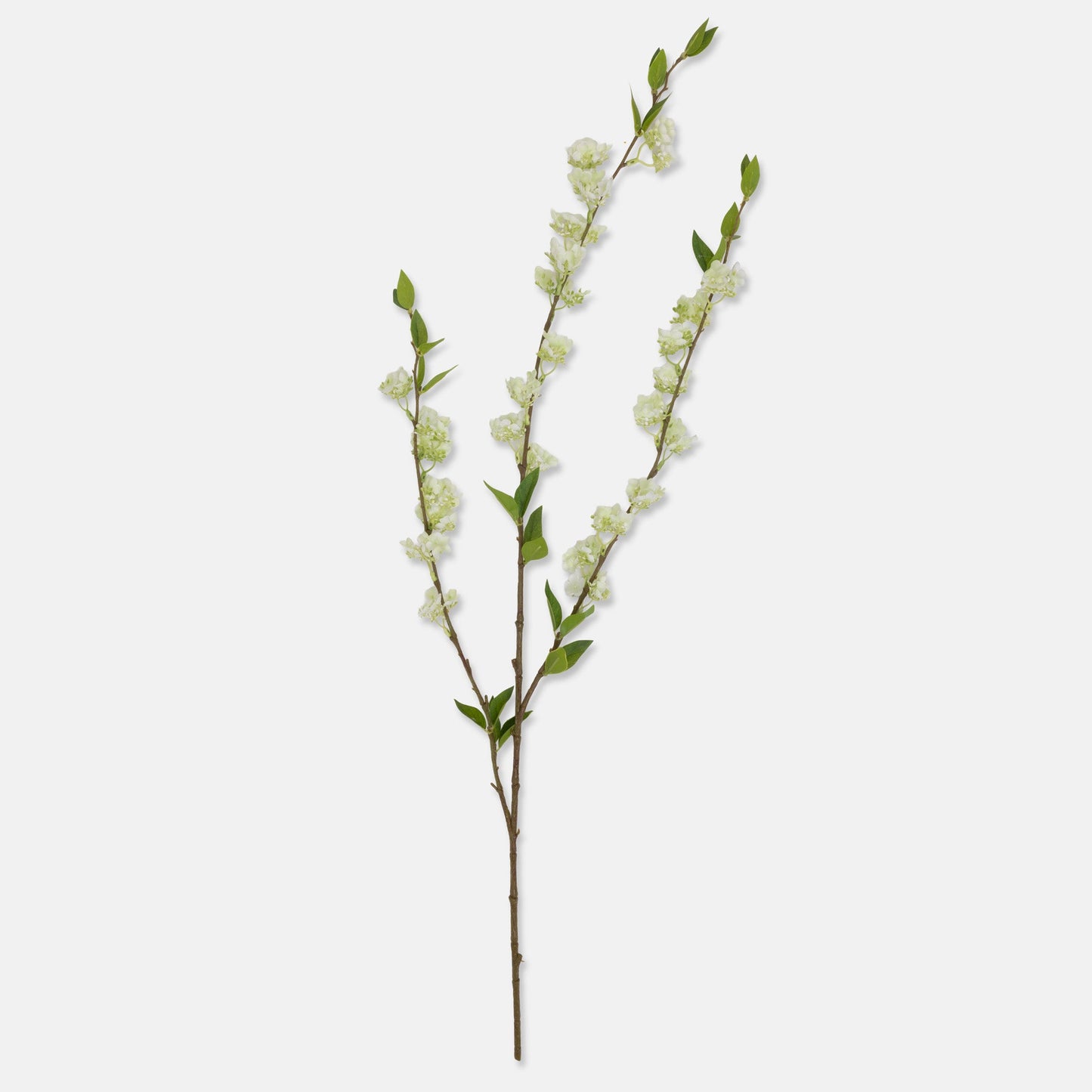 DIMM: Gerviblóm · Blossom · Soft Green
