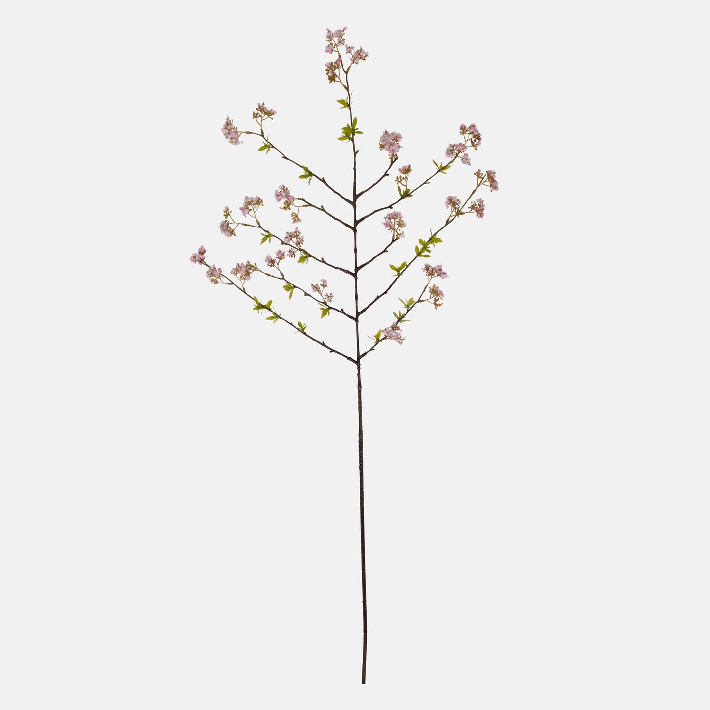 DIMM: Gerviblóm · Cherry Blossom Pink