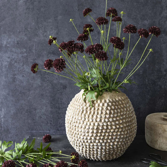 DIMM: Gerviblóm · Clove