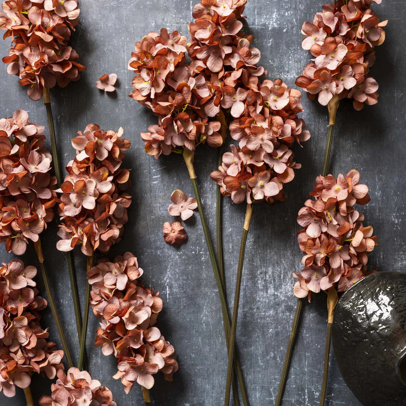 DIMM: Gerviblóm · Cone Hydrangea · Antikbleik