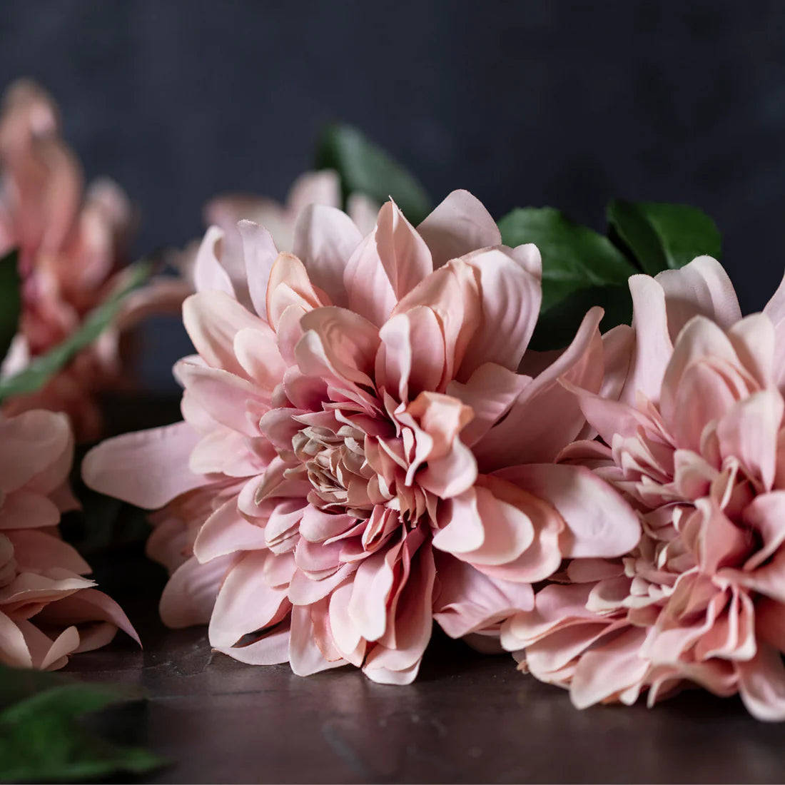 DIMM: Abigail Ahern gerviblóm · Dahlia Flamingo