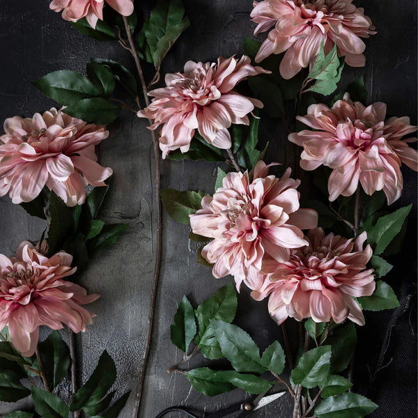 DIMM: Abigail Ahern gerviblóm · Dahlia Flamingo