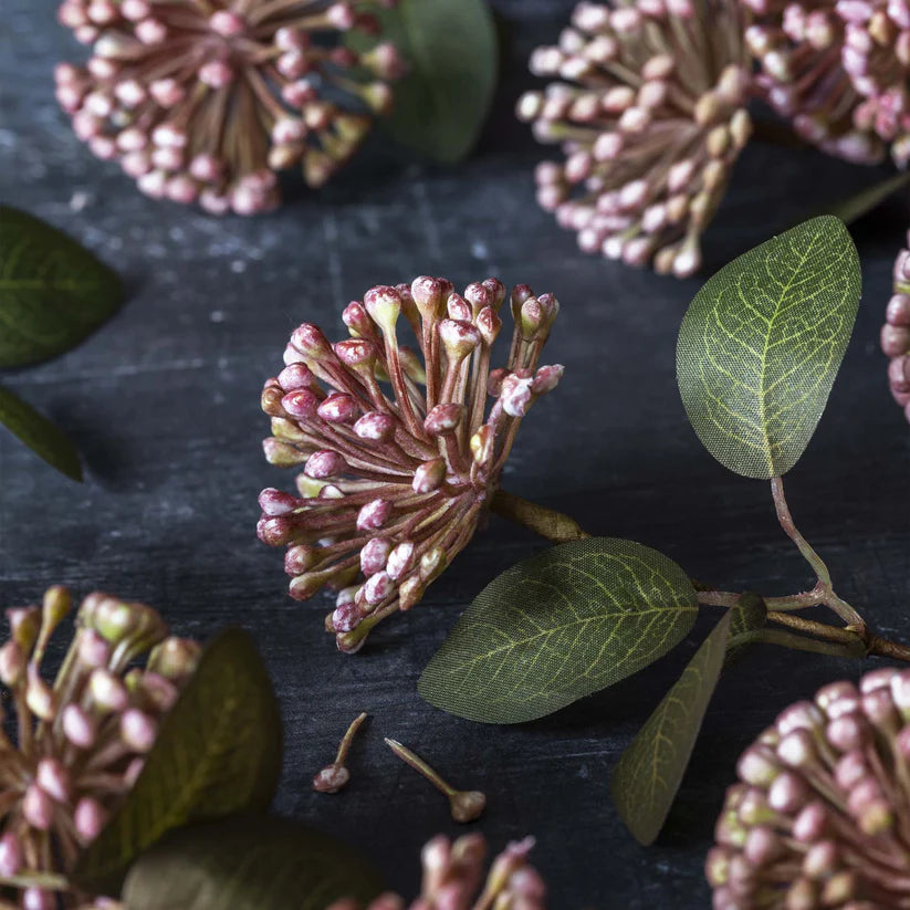 DIMM: Gerviblóm · Eucalyptus Berry