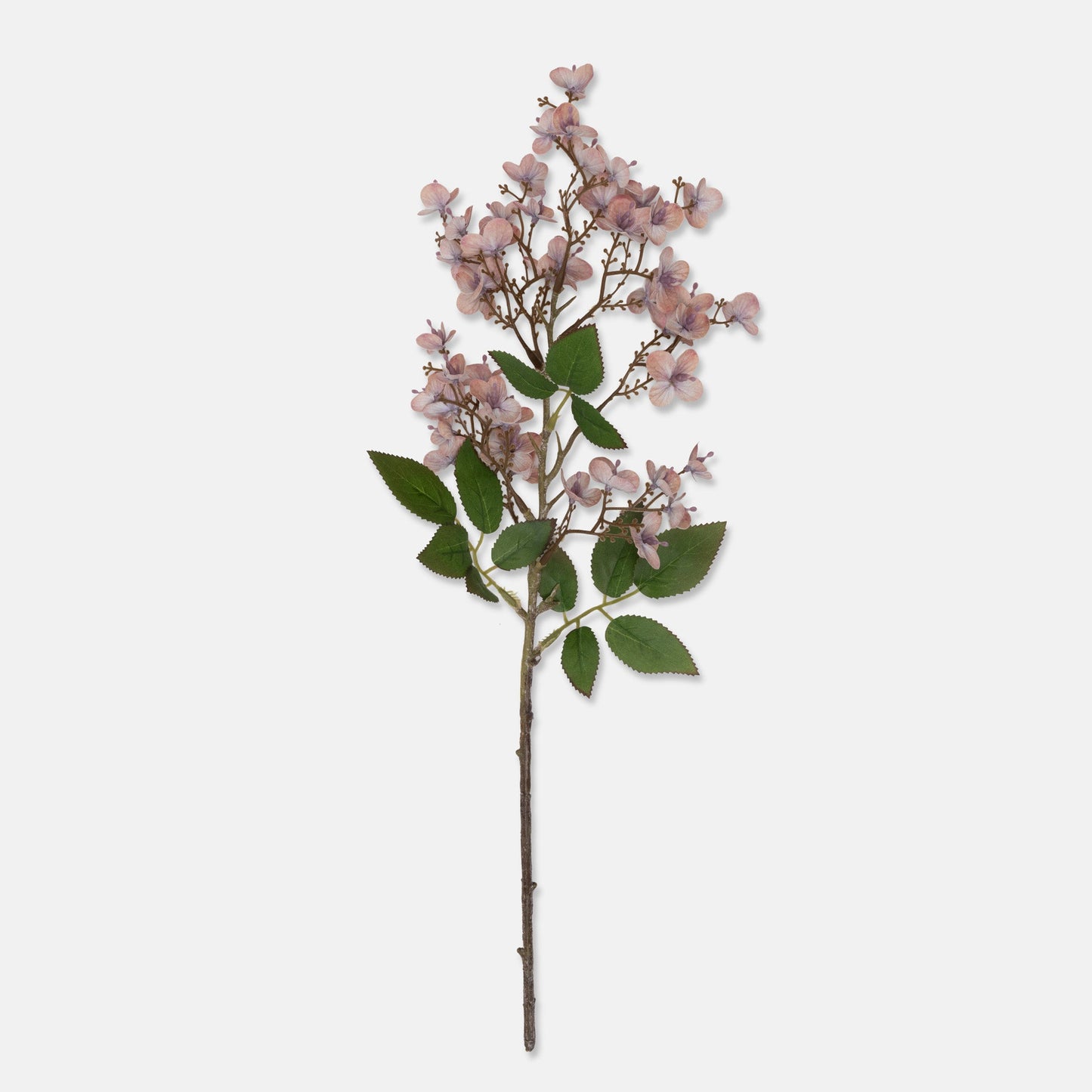DIMM: Gerviblóm · Japanese Cherry Blush