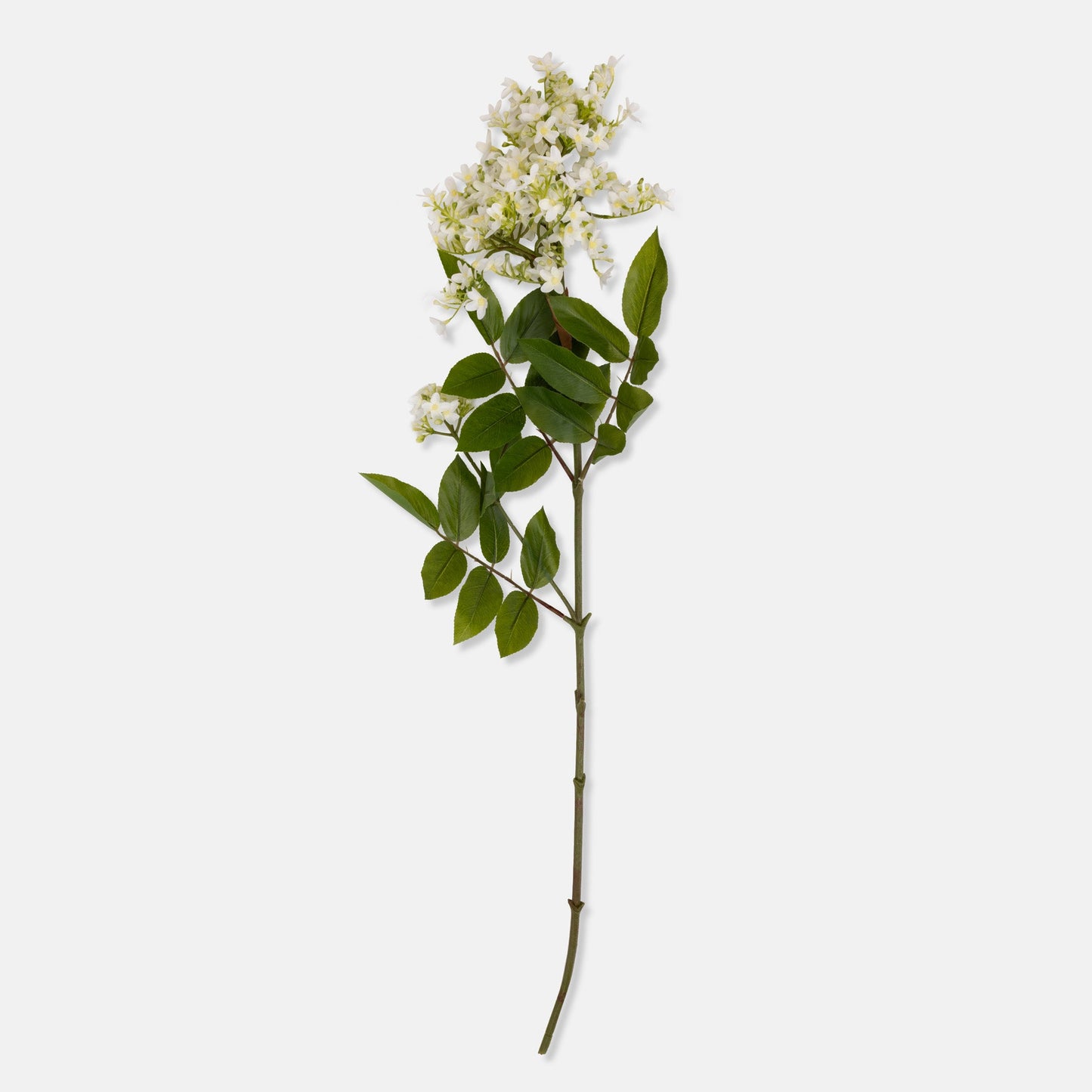 DIMM: Gerviblóm · Lilac Stem · White