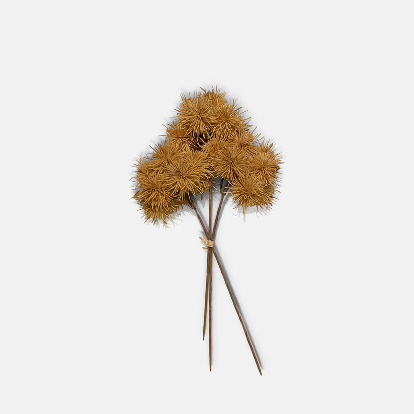 DIMM: Gerviblóm · Marron vöndur (3 stk)