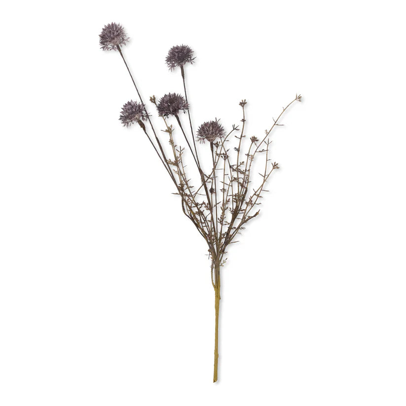 DIMM: Gerviblóm · Melaleuca Purple