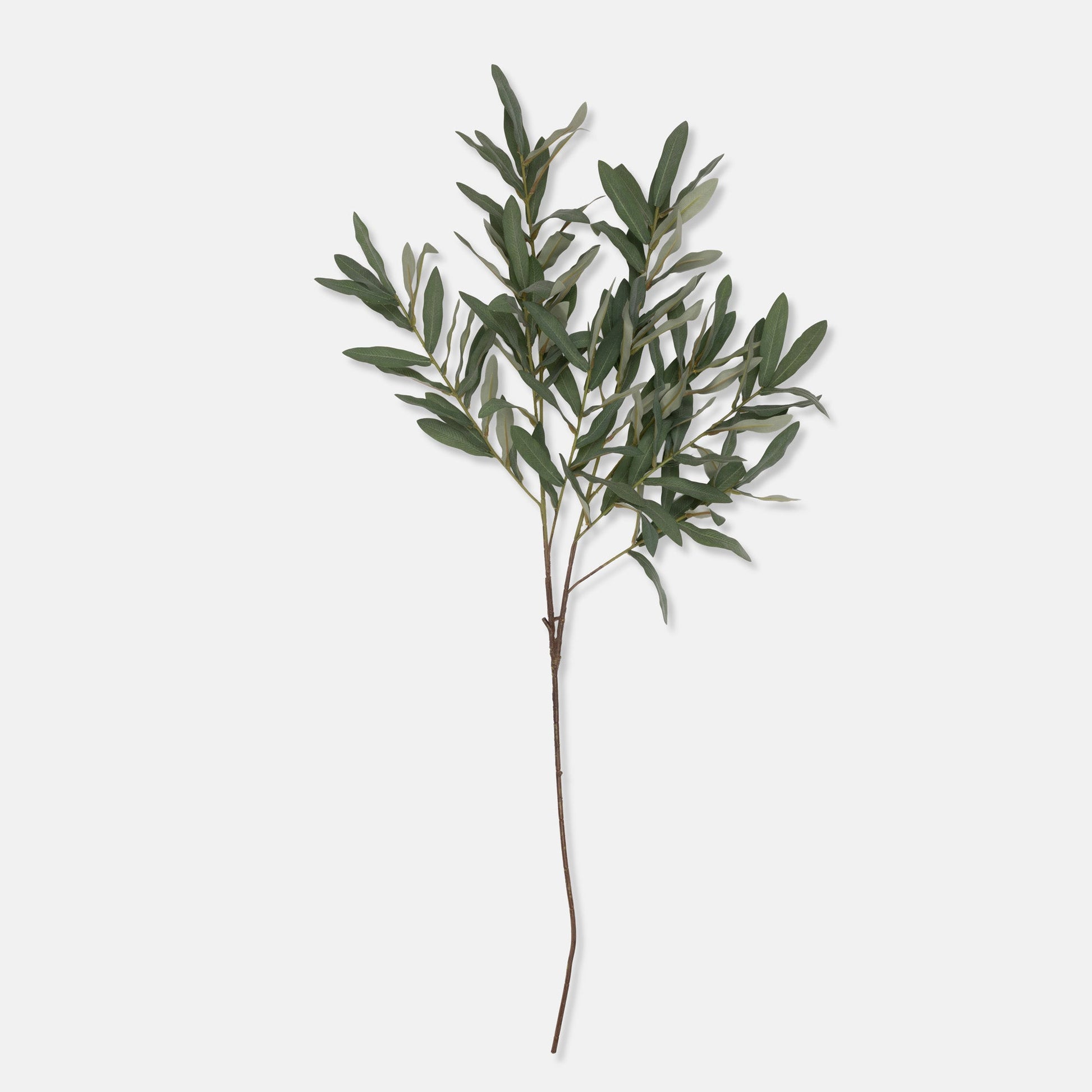 DIMM: Gerviblóm · Olive Branch · Soft Green