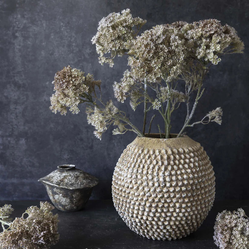 DIMM: Gerviblóm · Orlaya