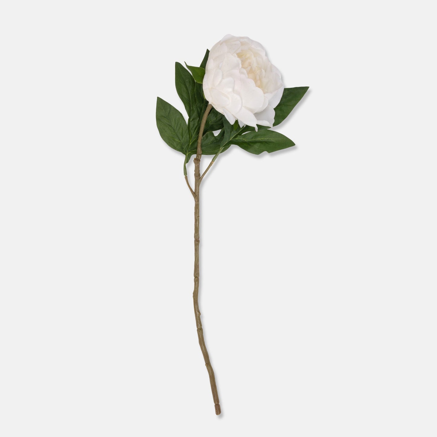 DIMM: Gerviblóm · Peony · White