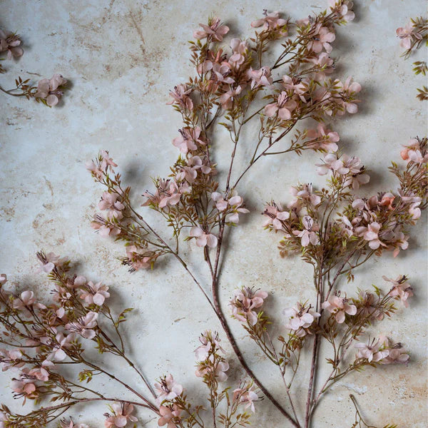 DIMM: Abigail Ahern gerviblóm · Prunus Blossom