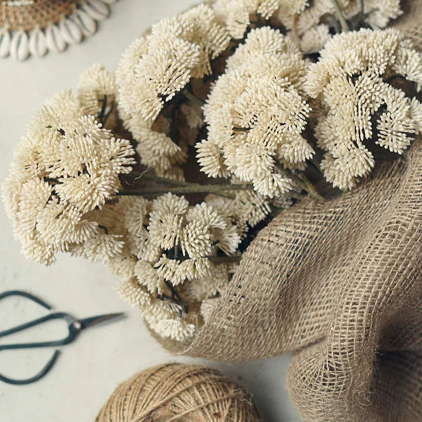 DIMM: Gerviblóm · Sedum Cream