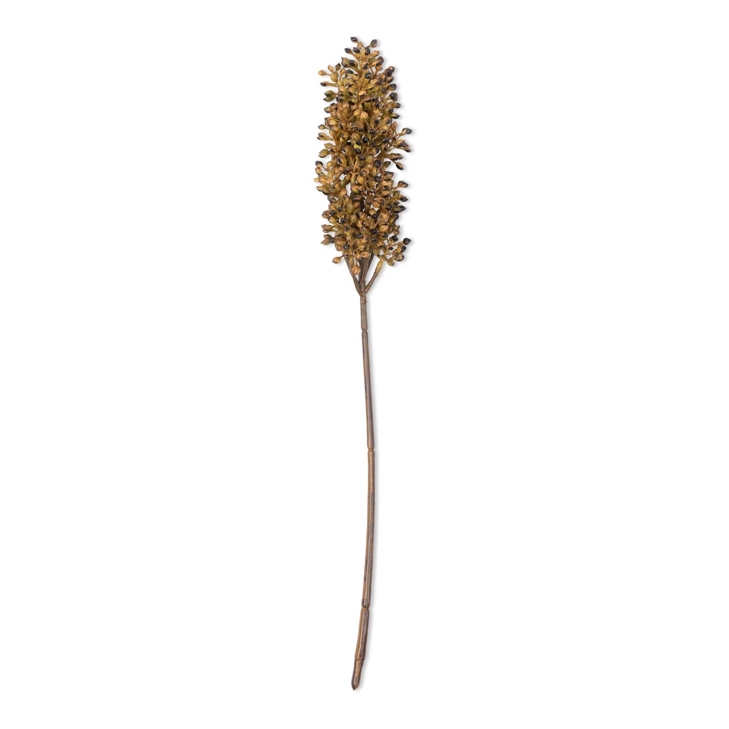 DIMM: Abigail Ahern gerviblóm · Sorghum · umber