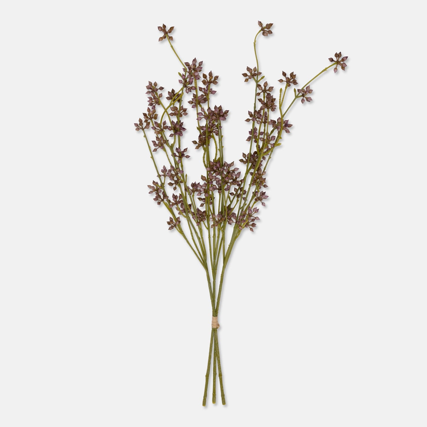 DIMM: Gerviblóm · Succulent Bunch Blush