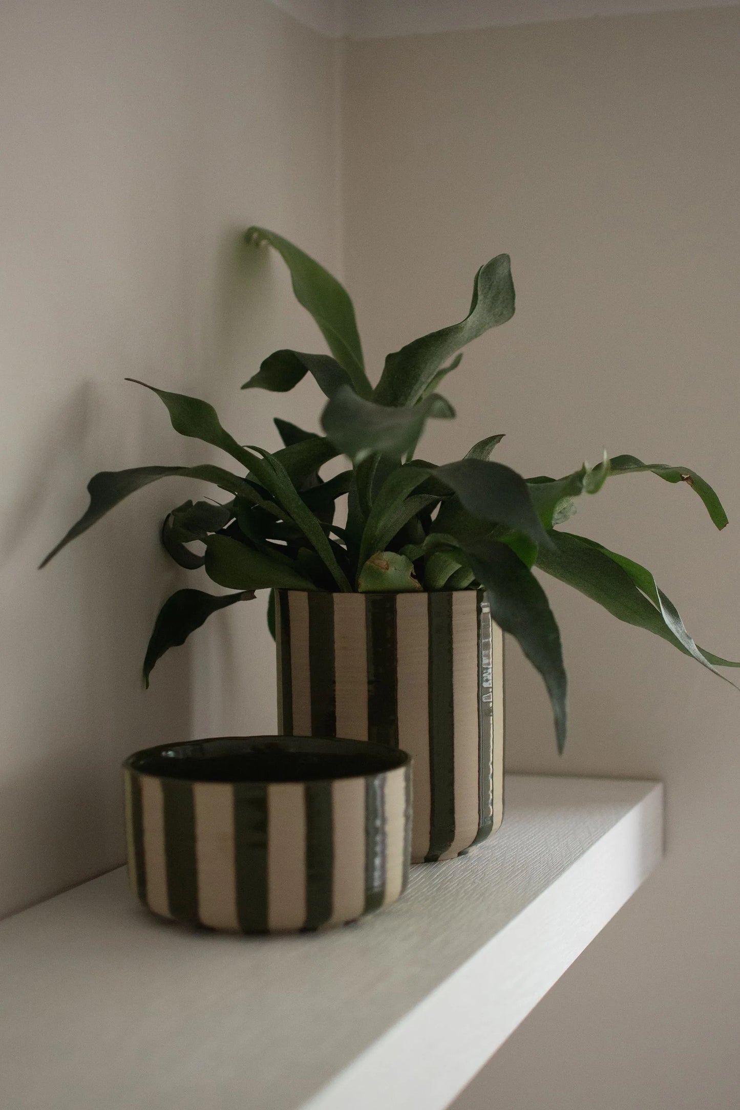 DIMM: Blómapottur Line · stripe green