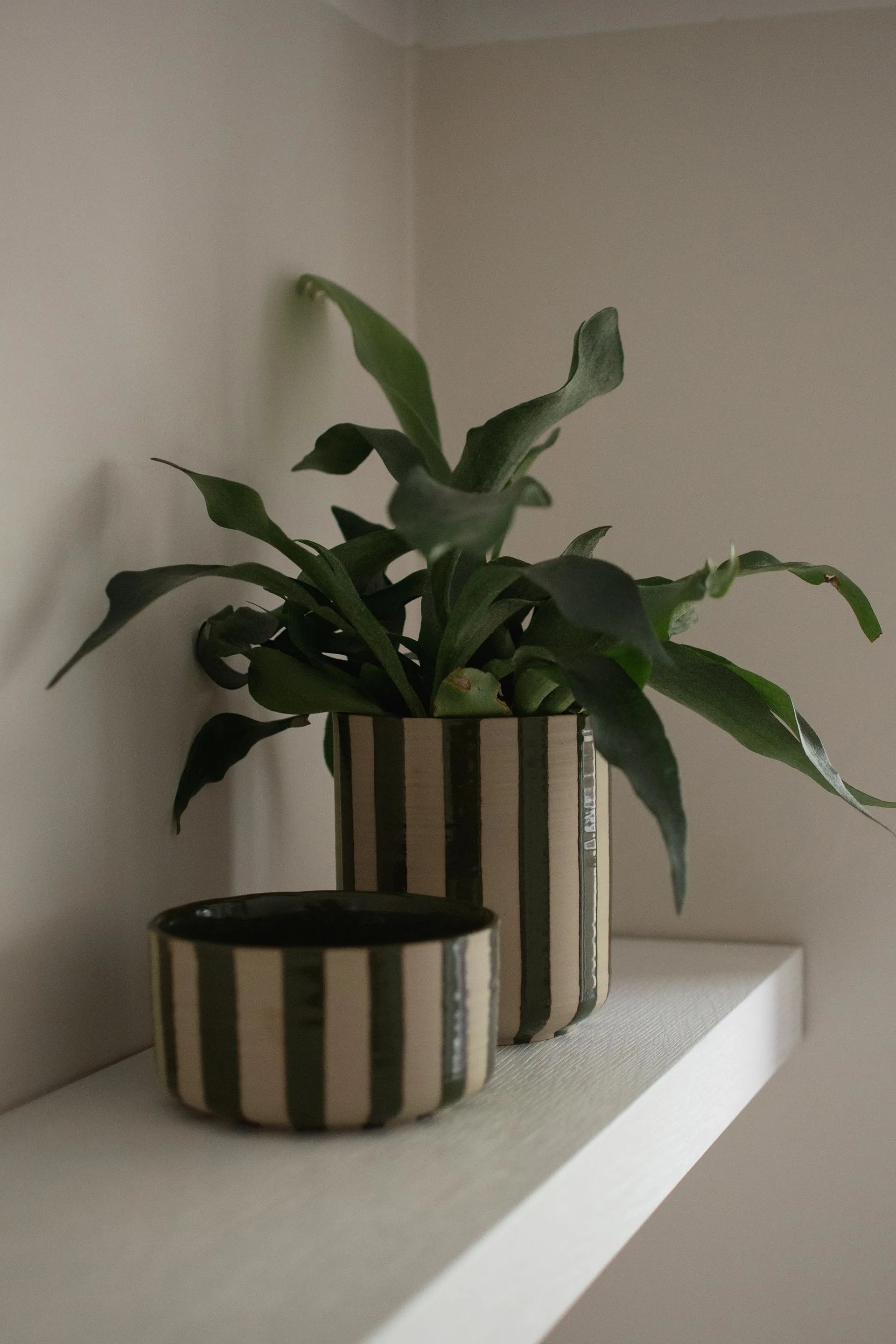 DIMM: Blómapottur Line · stripe green