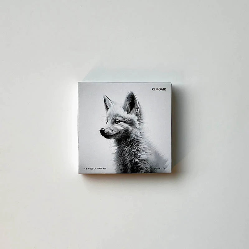 DIMM: Remoair eldspýtur · Winter Fox