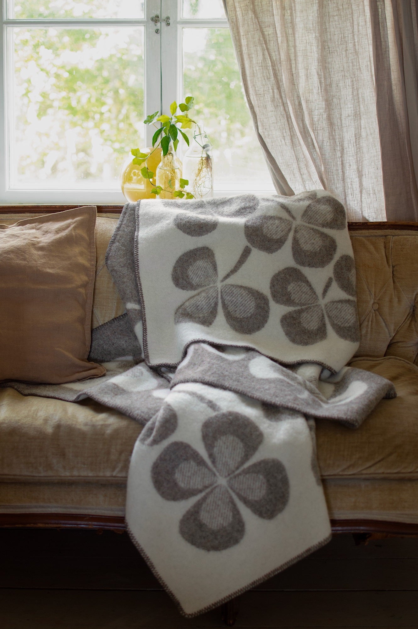 DIMM: Clover ullarteppi · Brown