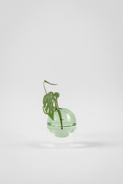 DIMM: Studio About standing flower bubble · green · low tube