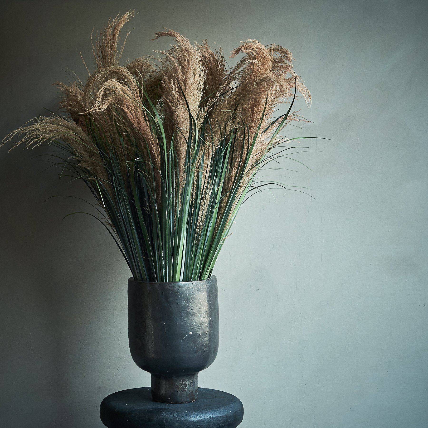 DIMM: Abigail Ahern gerviblóm · Pampass Grass