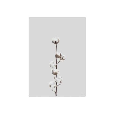 DIMM: ChiCura Copenhagen veggspjald · Cotton flower