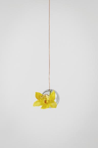 DIMM: Studio About hanging plant bubble · Smoke · small